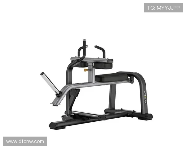 健身器材发展历程与技术创新分析