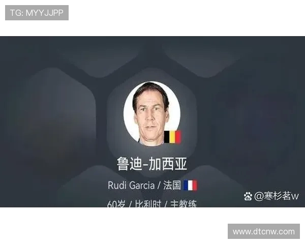 法甲各球队年度转会预算汇总与投资方向分析 法甲各球队年度转会预算汇总与投资方向分析