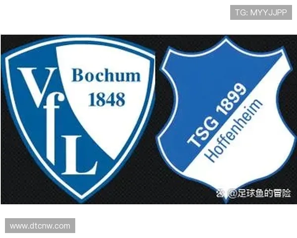 目前德甲总共有多少支球队参赛？2025赛季参赛队伍一览